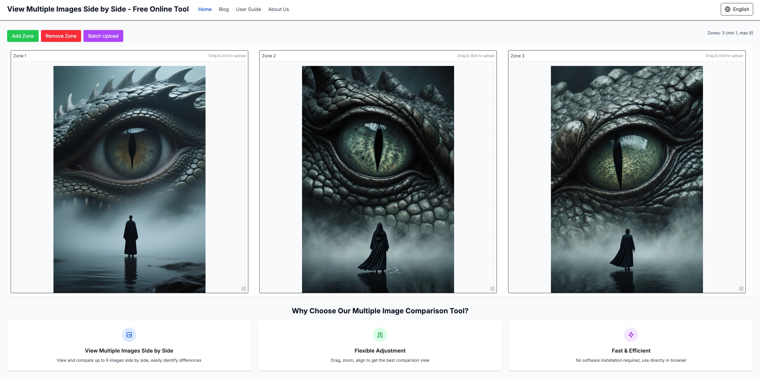 View Multiple Images Side by Side: The Ultimate Online Image Comparison Tool